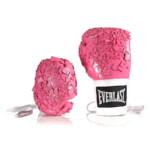 The two teamed up for Breast Cancer Awareness Month with 14 exclusive designer boxing gloves