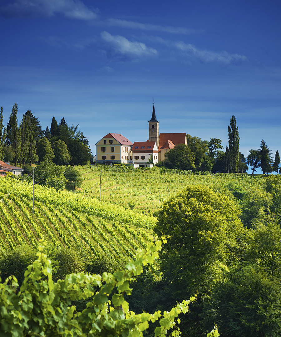 FamilyFriendly Wine Tasting Vacations DuJour