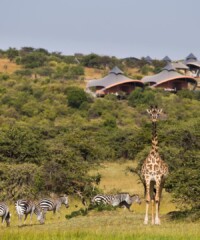 The Ultimate Safari Experience in Kenya