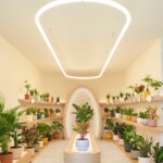 A futuristic plant store has opened in downtown New York City