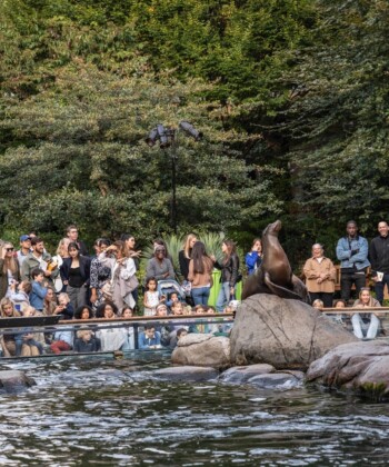 The 31st Annual event was held at the Central Park Zoo on October 9 with bird-themed crafts and activities and animal visits for kids. For more than three decades, WCS’s annual family event has been a place for children to discover their inner explorer and learn about the planet’s most spectacular wildlife