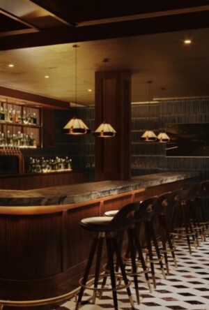 The Hudson Club Opens In Midtown