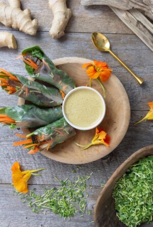 Joni Brosnan Debuts Her First Cookbook