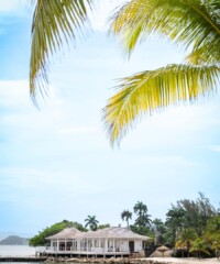 Room Request! Tryall Club A Little Pink has officially opened its flagship boutique at 68 Franklin Street in Tribeca, introducing a refined, community-driven destination for luxury resale. Blending curated designer fashion with immersive design and a built-in café experience, the new space redefines how modern shoppers discover accessible luxury.