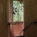 Explore Lore Bathing Club, a new space promoting community and wellness in a contemporary bathing environment