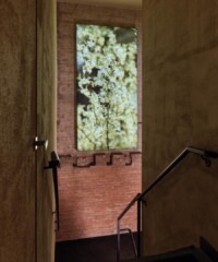 Explore Lore Bathing Club, a new space promoting community and wellness in a contemporary bathing environment