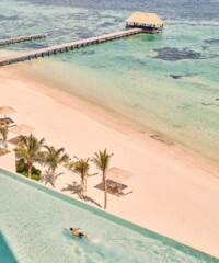 The Case for a Holistic Holiday