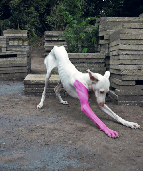 Winner of Nasher Sculpture Prize