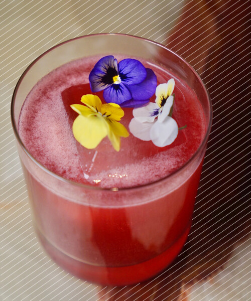 Drink DuJour: Enzo and Valentina