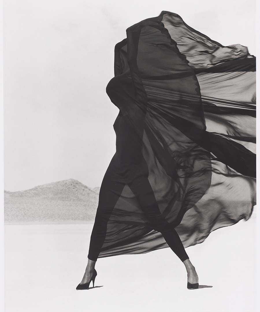 See Pictures of Herb Ritts Photos for the Boston MFA – DuJour