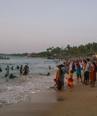 The Most Beautiful Thing in the World Today: ​Kerala, India