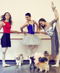 Meet the American Ballet Theater Dancers and Their Dogs