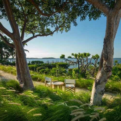 The Mangrove at the Bungalows Key Largo