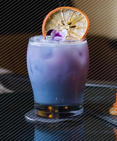 Drink DuJour: Violet Milk Punch
