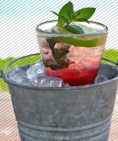 Drink DuJour: Oaxaca Royal Mojito