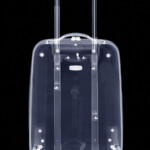 Luggage that can even make airport security lines feel glamorous