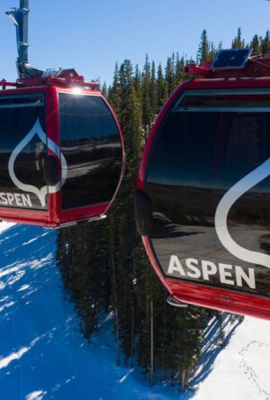 Exciting Aspen Openings To Check Out Now