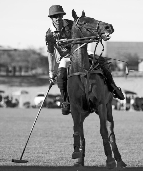 Polo’s Hottest Rising Star