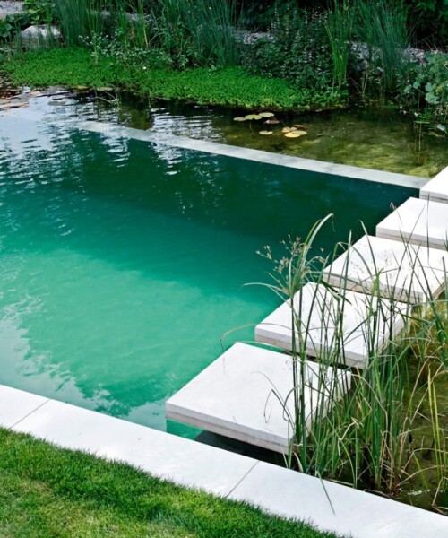 A Swimming Hole in Your Backyard?!