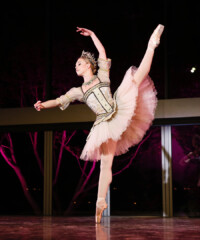 Inside the Los Angeles Ballet Season 10 Gala