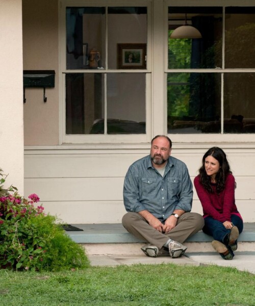 A Dating Story: James Gandolfini and Julia Louis-Dreyfus in ‘Enough Said’