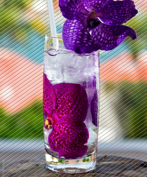 Drink DuJour: Varda Liquid Poetry