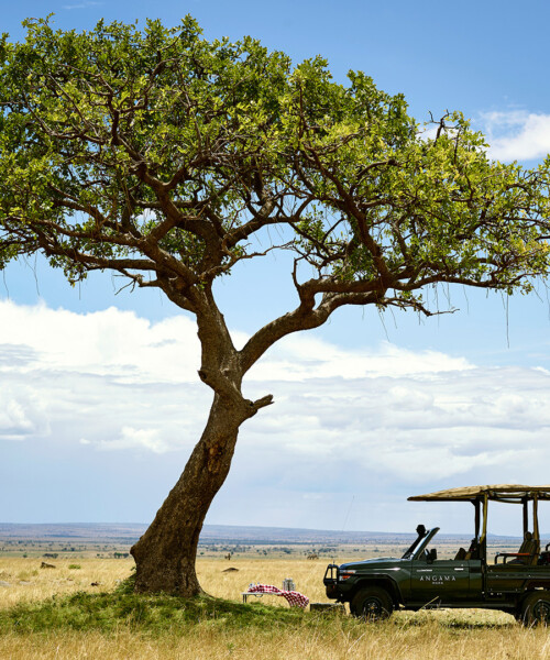 The Ultimate Kenya Travel Guide