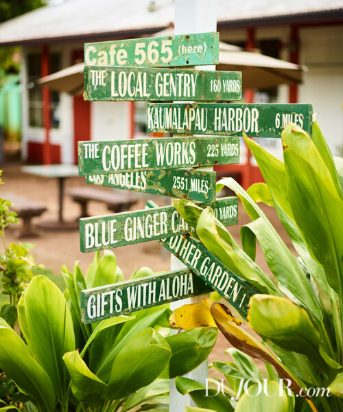 Investigating an Unusual Hawaiian History
