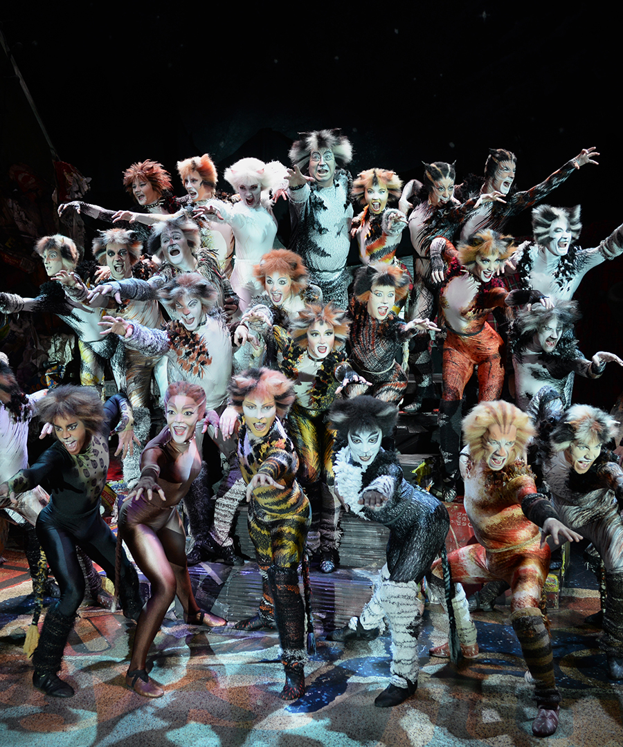 Broadway Montage  Cats the Musical 