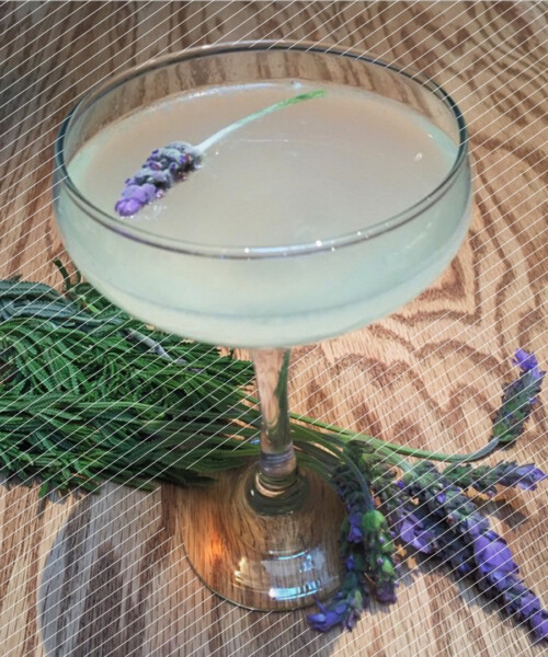 Drink DuJour: Lavender Wódka 75