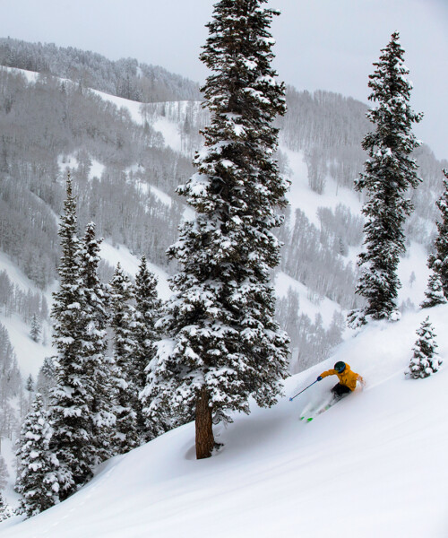 Snowmass Hits Fifty