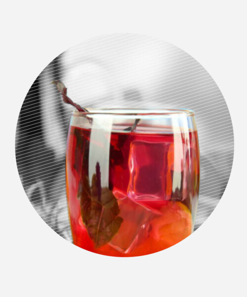 Drink DuJour: The Pavone Maschino