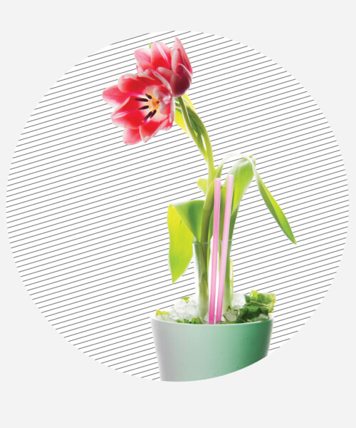 Drink DuJour: The Mint Tulip