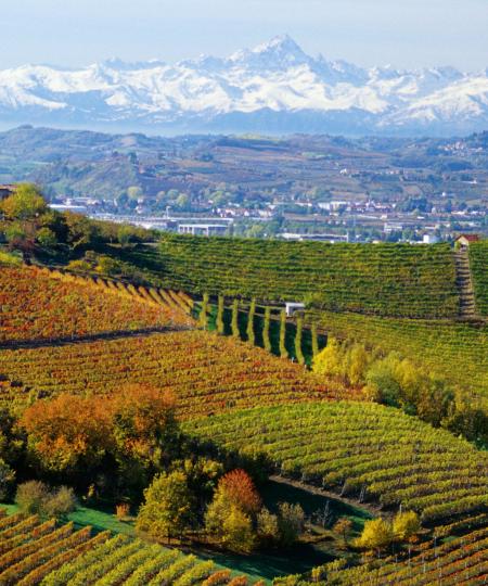 An Unforgettable Fall Trip: Piedmont, Italy