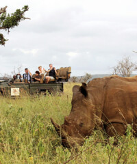 Stories From a South African Safari