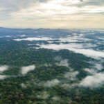 Global Wildlife Conservation joins alliance to protect the great forests of Mesoamerica