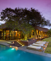 Room Request! The Phinda Private Game Reserve