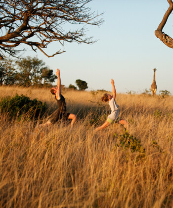 Yoga in the Wild